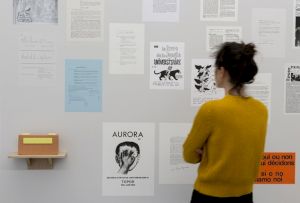 Rosa Brux avec les Archives contestataires “Essayer encore, rater encore, rater mieux”, Centre culturel suisse, 2018 / © Marc Domage