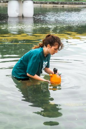Sarina Scheidegger, ‘Ululoszzhhh’, Le Potager du Roi, 2025 (c) Valentin Duciel / Centre culturel suisse. On tour