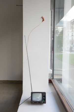 © Zoé Tullen, vues d’exposition <em>Archiving futures (are we dead yet)</em>, duoshow, 2025, One Gee in Fog (@onegeeinfog), GE.