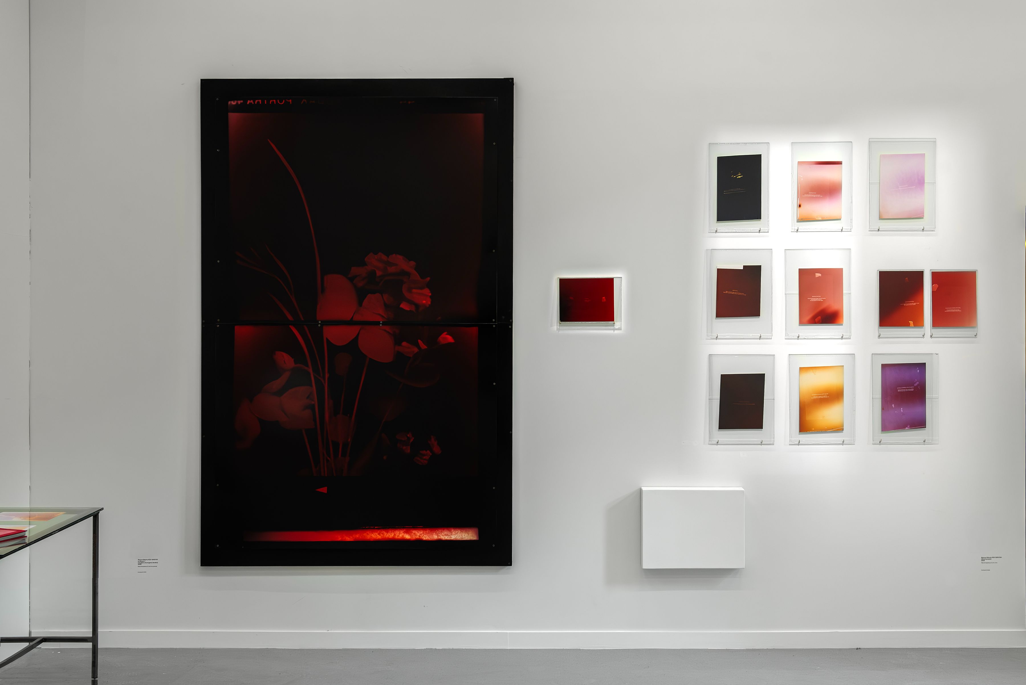 Akosua Viktoria Adu-Sanyah | Centre culturel suisse. Paris