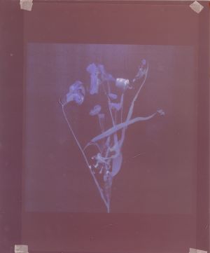 © Akosua Viktoria Adu-Sanyah, no flowers, 2025