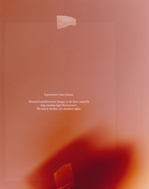 © Akosua Viktoria Adu-Sanyah, medical report, 2025