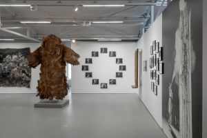 Ingeborg Lüscher, Flammes. © Photo Tristan Savoy / Centre culturel suisse Paris 2026