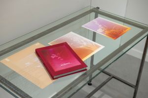 Photo © Tristan Savoy