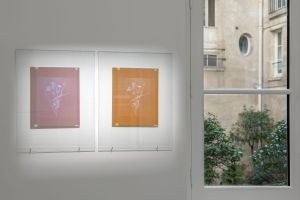 Photo © Tristan Savoy