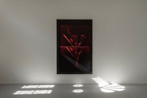 Photo © Tristan Savoy