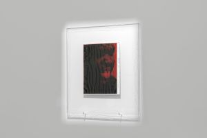 Photo © Tristan Savoy