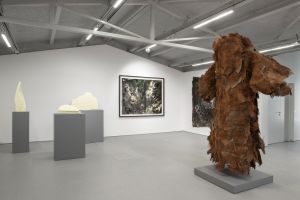 Photo © Tristan Savoy