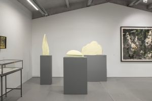 Photo © Tristan Savoy