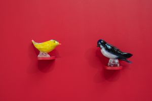 Photo © Tristan Savoy