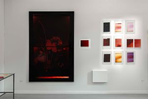 Prise de vue no flowers d’Akosua Viktoria Adu-Sanyah, Centre culturel suisse. Paris 2026 © Tristan Savoy