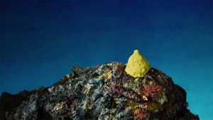 © KLODIN ERB, The Sweet Lemon Ballad 
